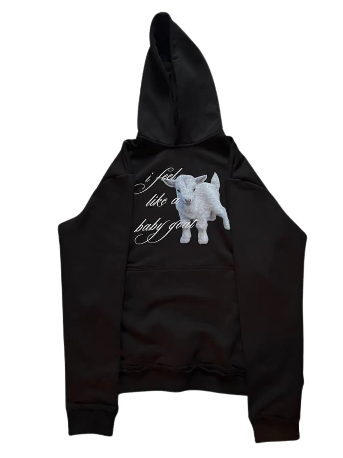 «baby goat»